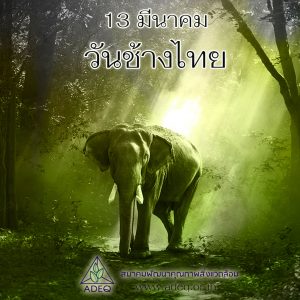 13 มีนาคม วันช้างไทย